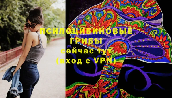 не бодяженный Корсаков