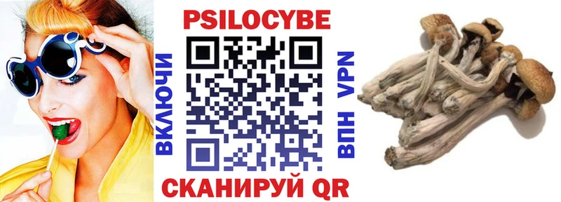 Псилоцибиновые грибы мухоморы  hydra ONION  Янаул 