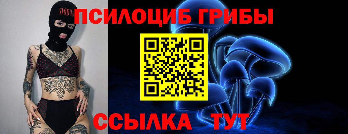 Янаул  Галлюциногенные грибы мицелий  Вход с VPN 